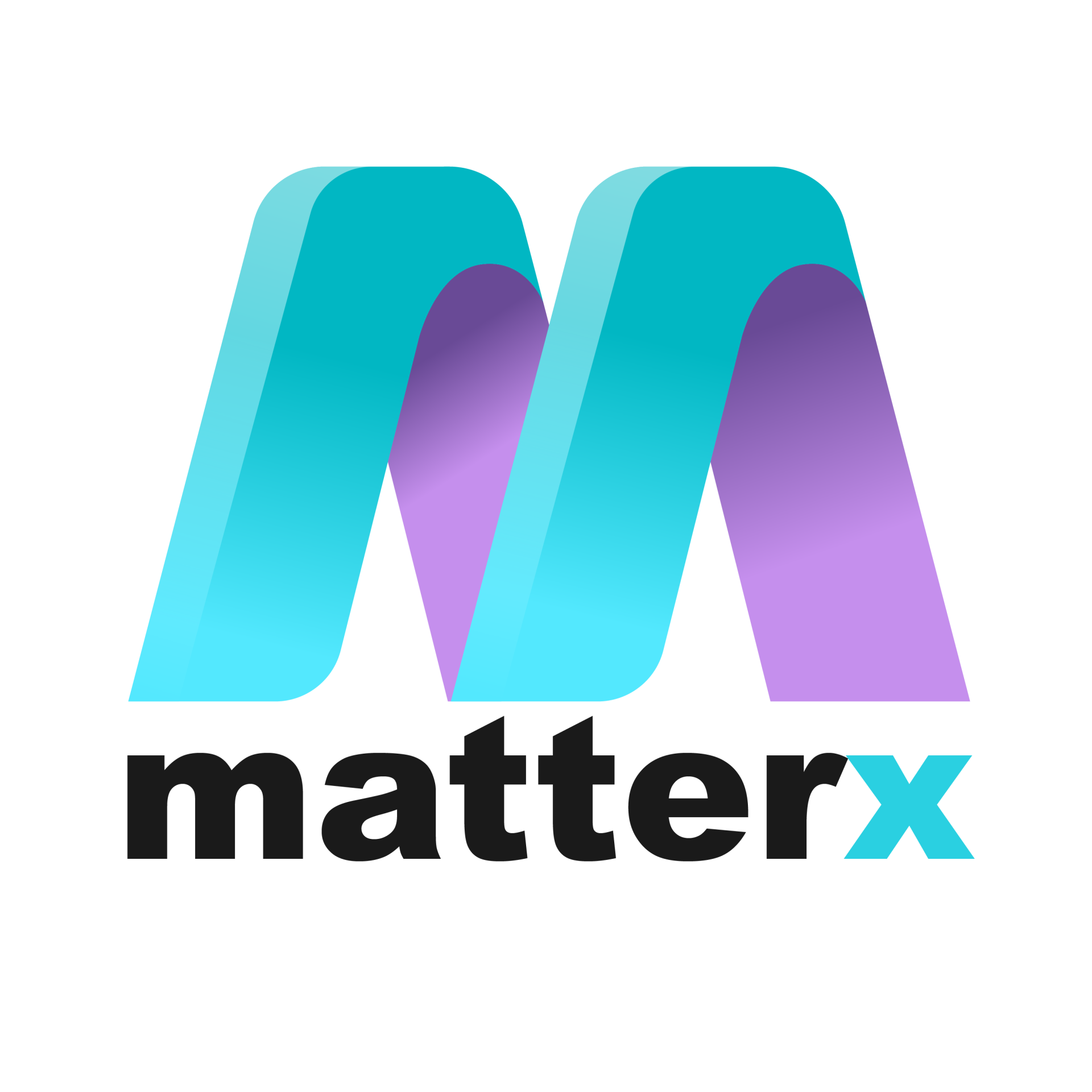 MatterX